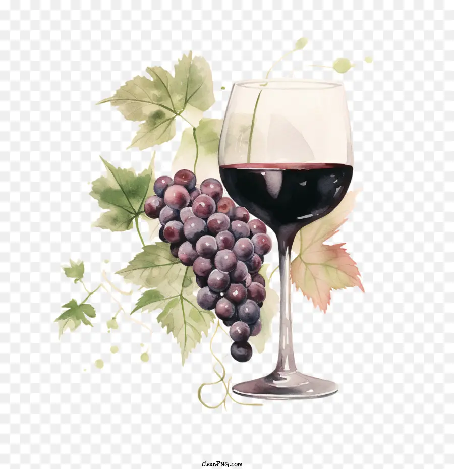 Dia Nacional Pinot Noir，Uva PNG