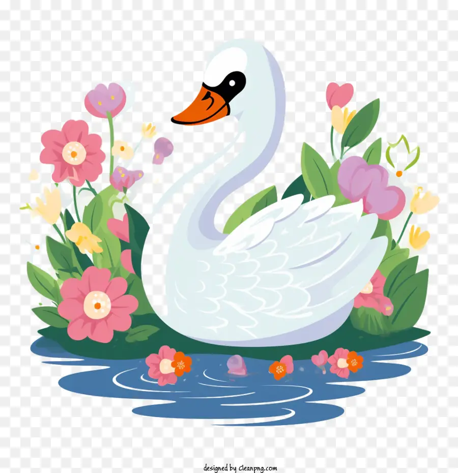 Cisne，Gracioso PNG