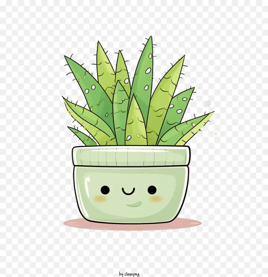 Aloe Vera，Planta Em Vaso PNG