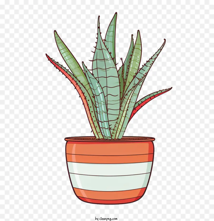 Aloe Vera，Planta Verde PNG