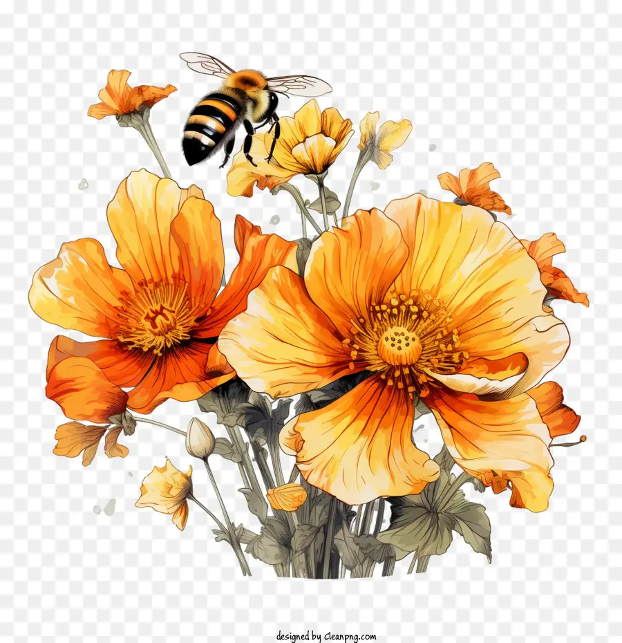 Dia Mundial De Mel Bee，Arranjo Floral PNG