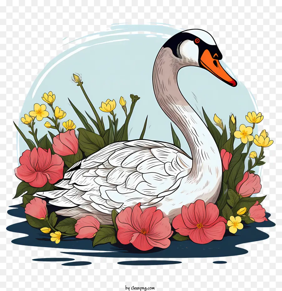 Cisne，Água PNG