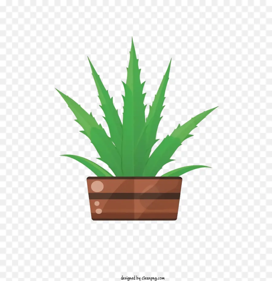 Aloe Vera，Planta De Casa PNG
