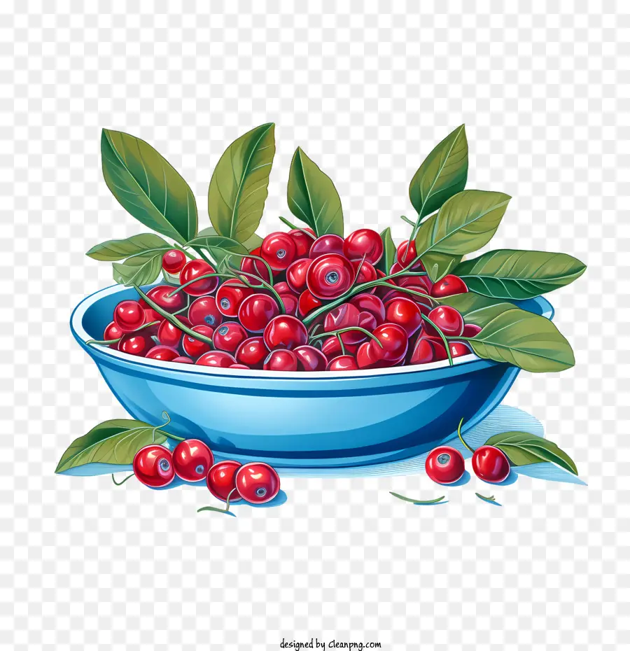 Cranberries Vermelhas，Cerejas PNG