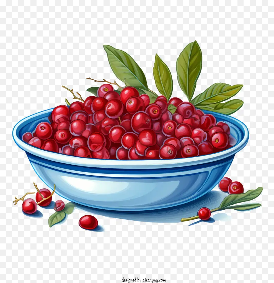 Cranberries Vermelhas，Cerejas PNG