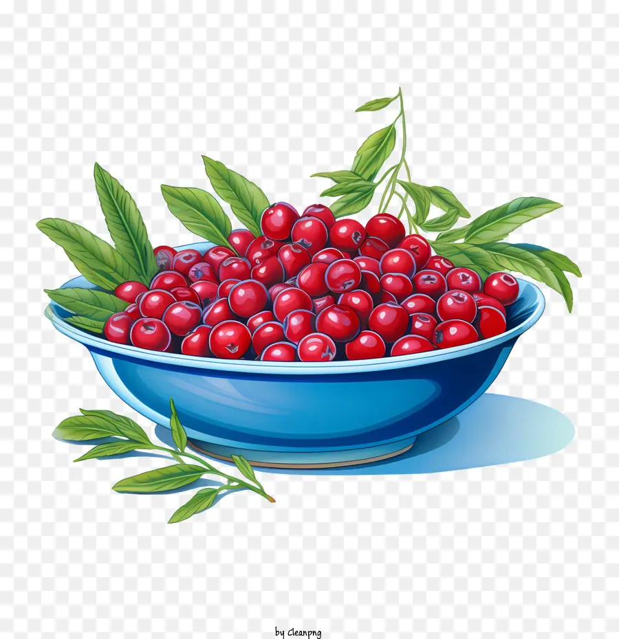 Cranberries Vermelhos，Bagas PNG