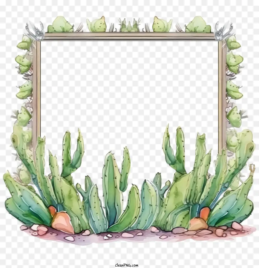 Suculenta，Cactus PNG