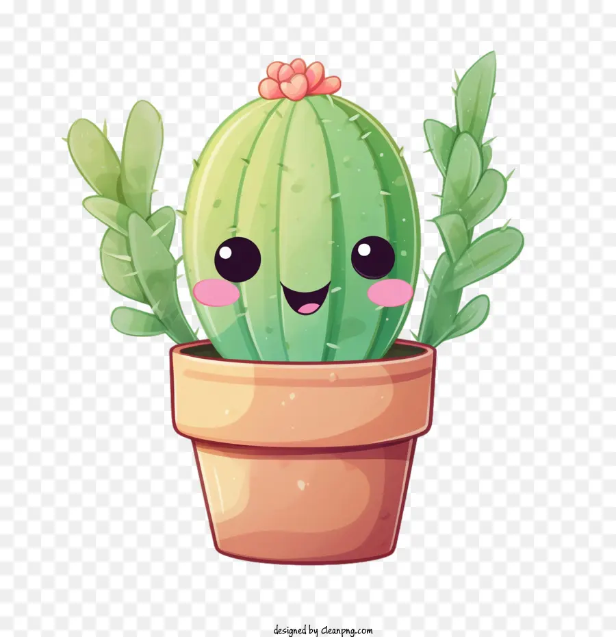 Suculenta，Cactus PNG