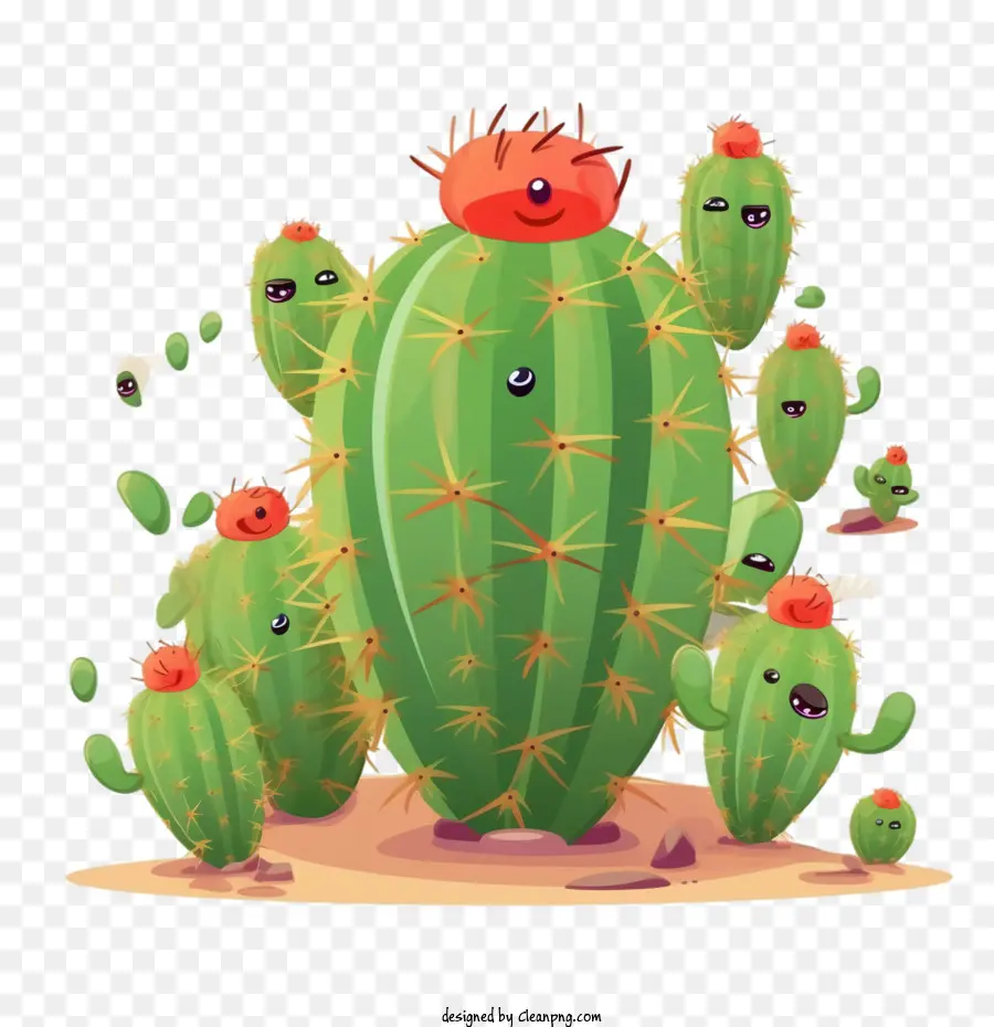 Suculenta，Cactus PNG