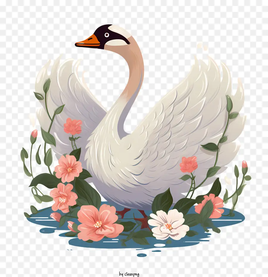 Swan，água PNG