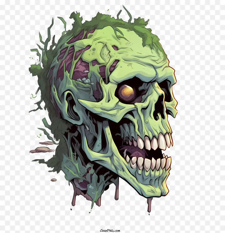 Zombie Crânio，Zombie PNG