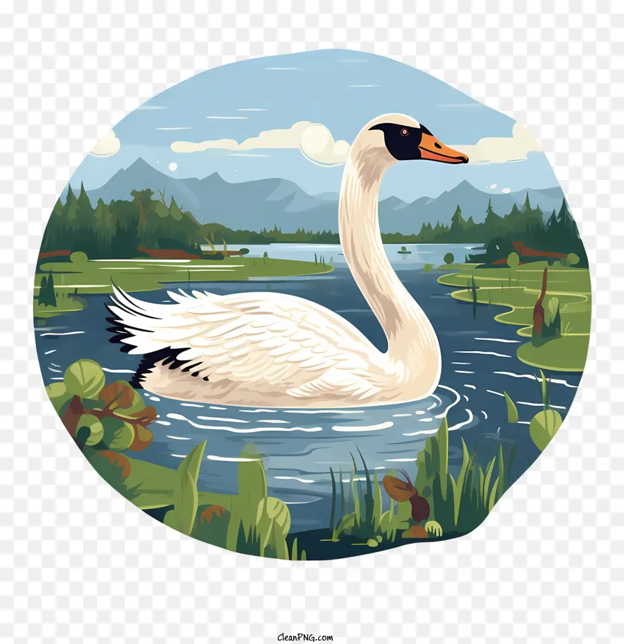 Cisne，Cisne No Lago PNG