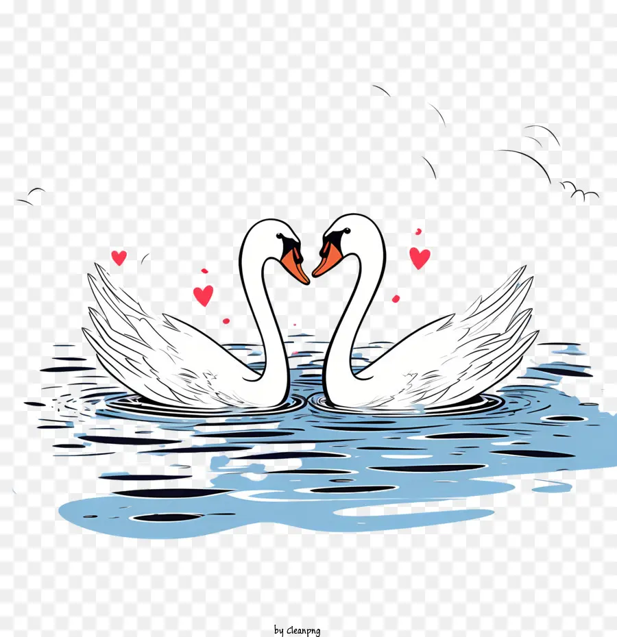 Swan，Amor PNG