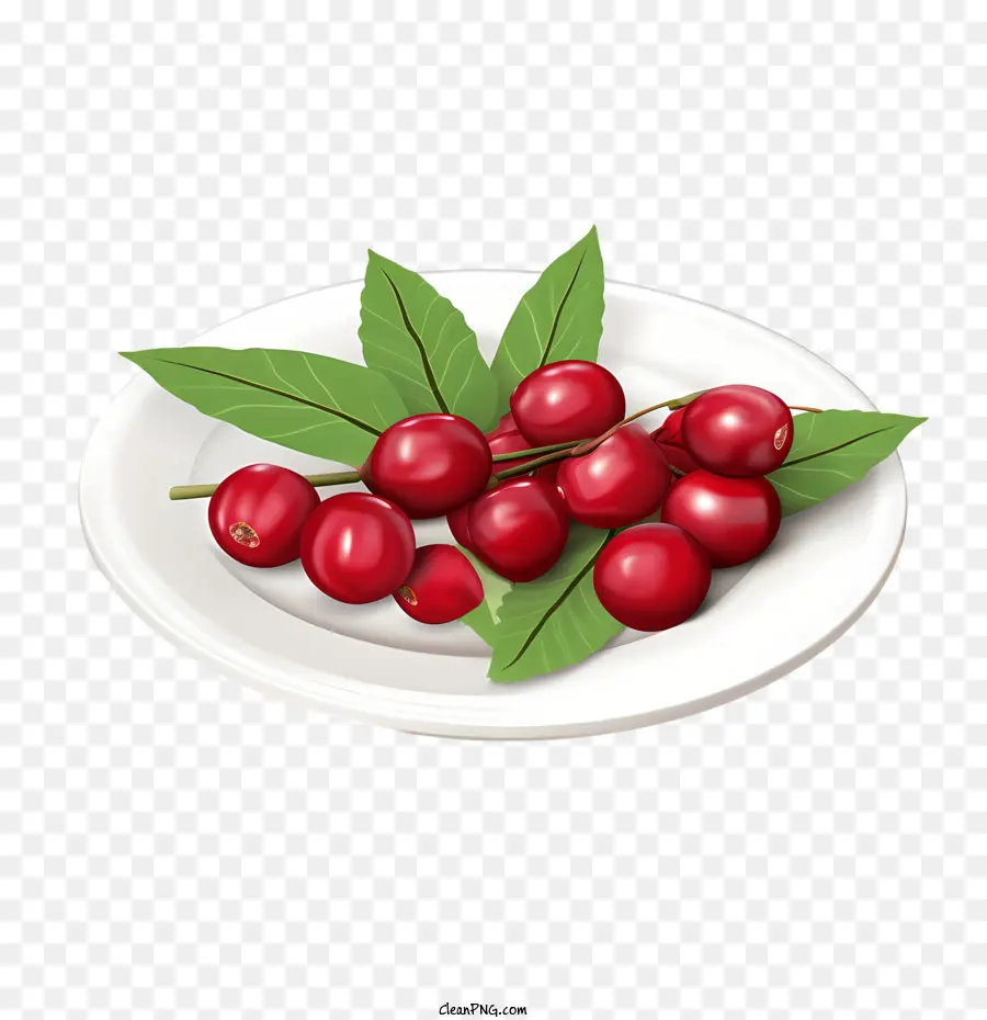 Cranberries Vermelhos，Ripe PNG