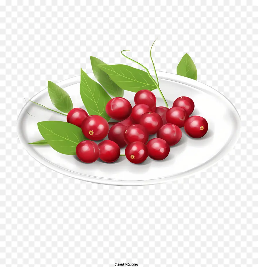 Cranberries Vermelhos，Cranberries PNG