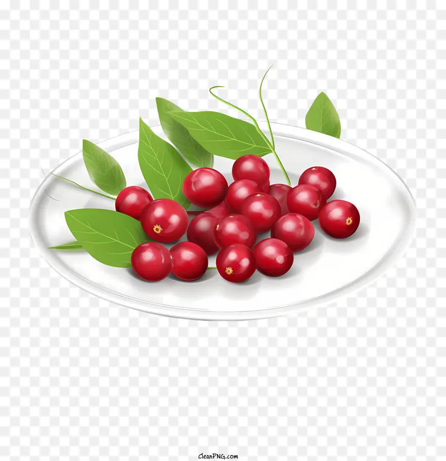 Cranberries Vermelhas，Bagas Vermelhas PNG