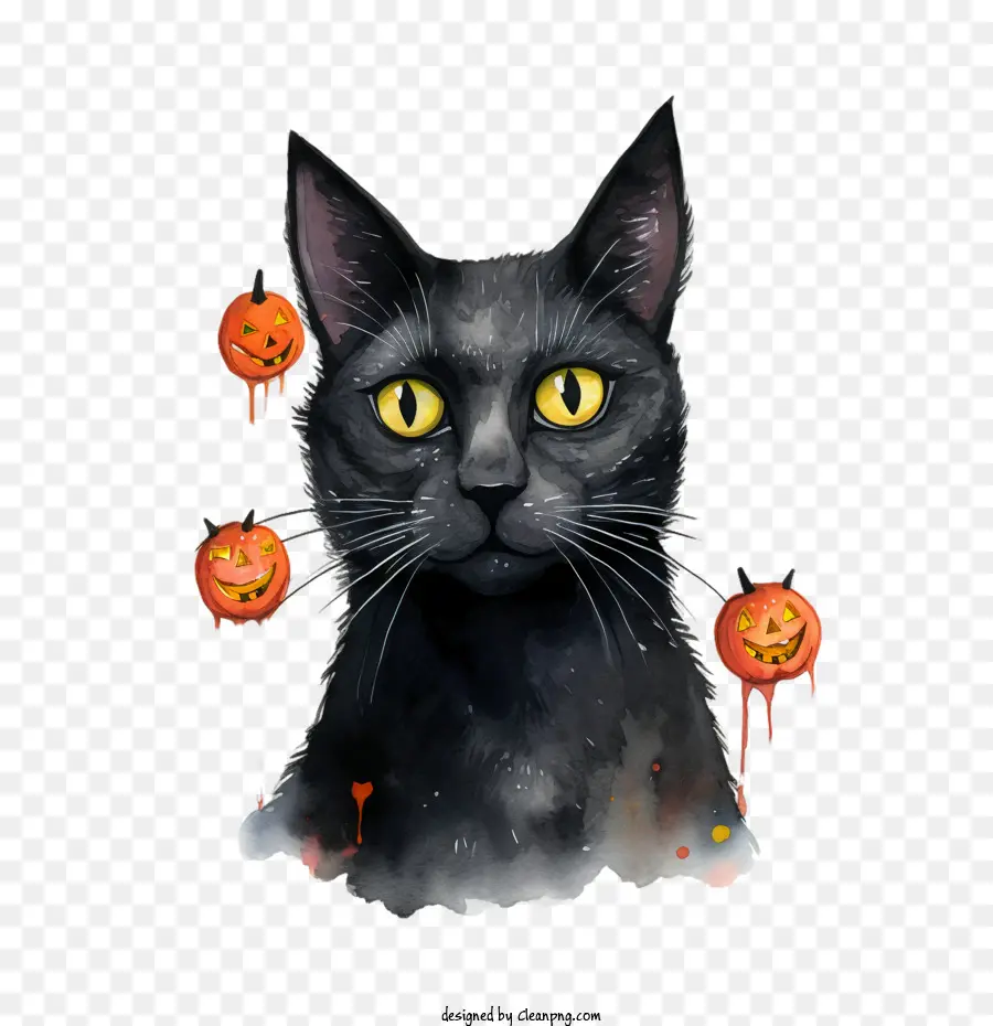 Dia Das Bruxas，Gato Preto PNG