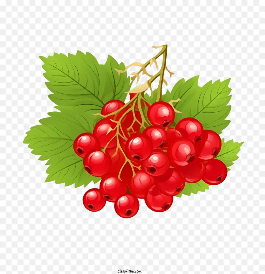 Cranberries Vermelhos，Framboesas PNG