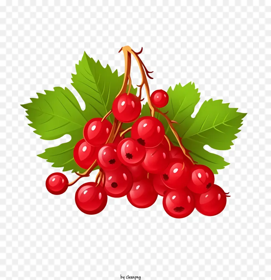 Cranberries Vermelhos，Bagas PNG