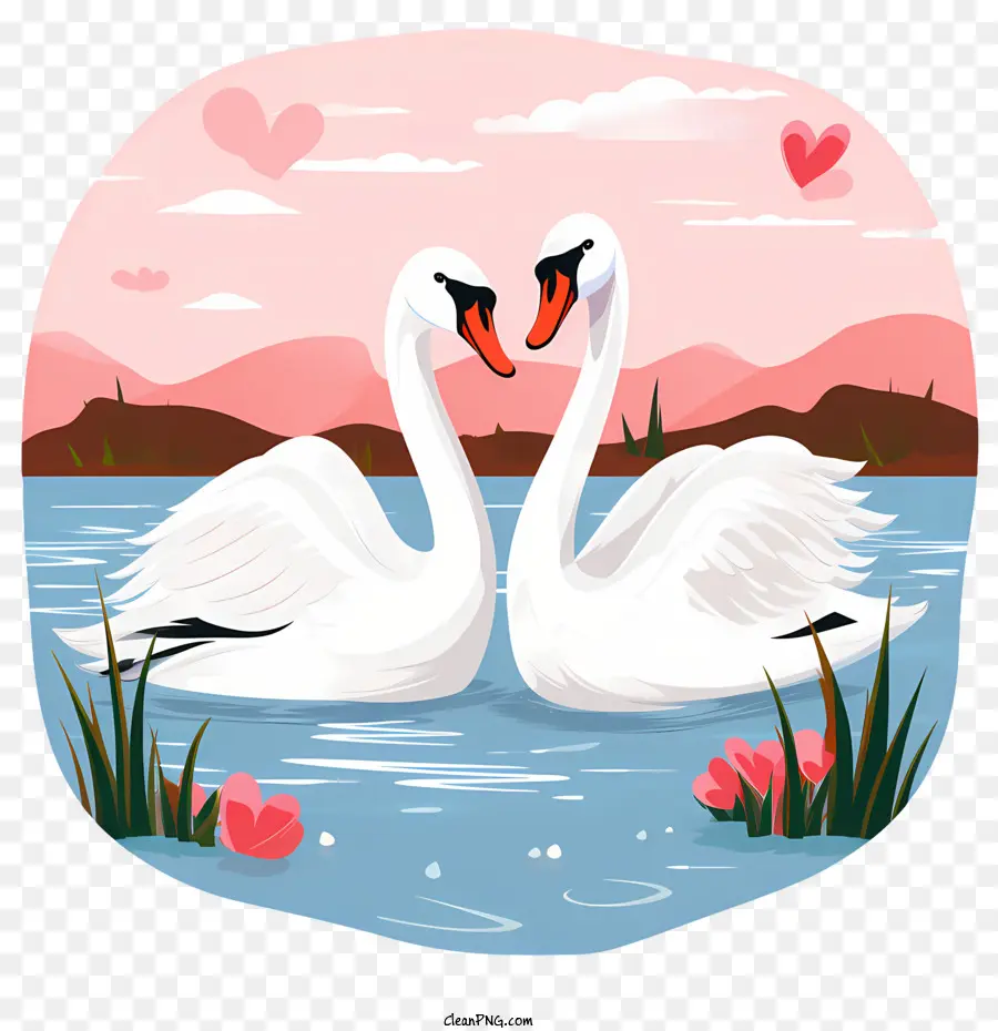 Cisne，Cisnes Apaixonados PNG