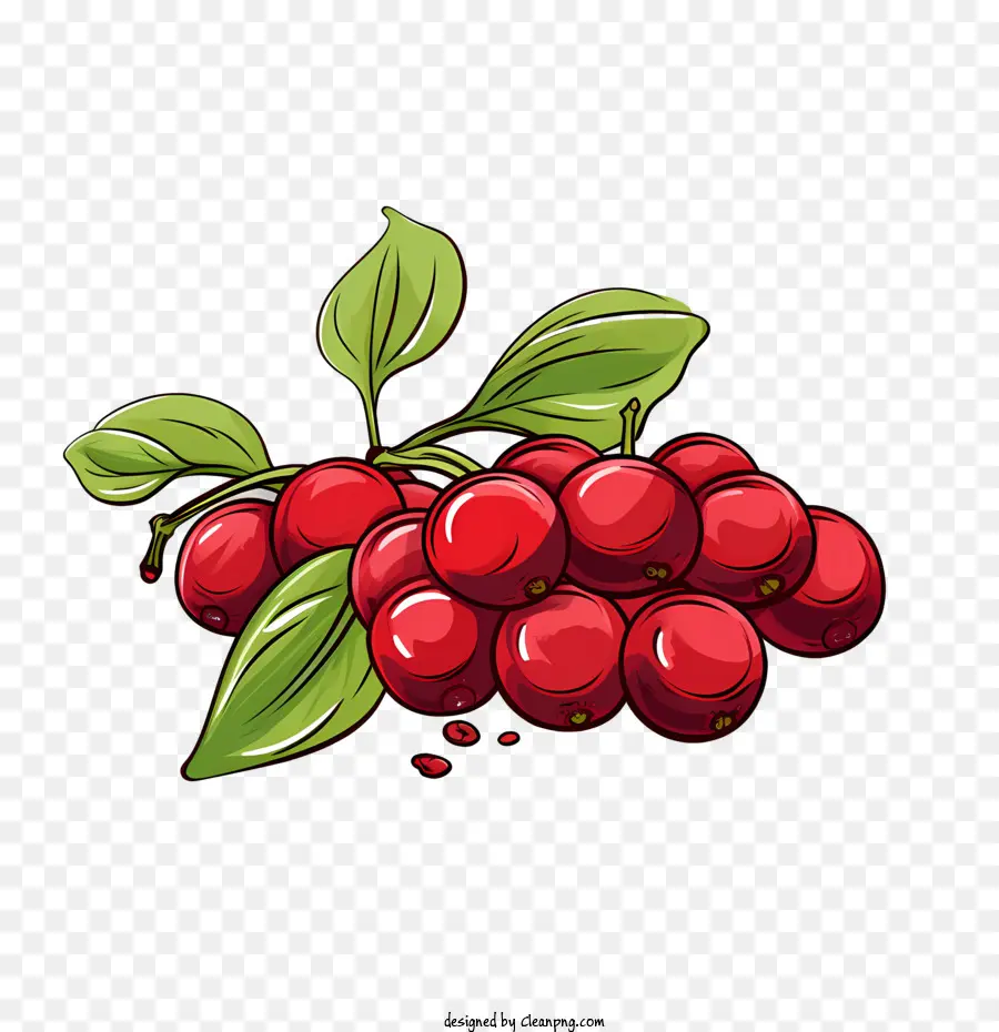 Cranberries Vermelhos，Frutos Vermelhos PNG