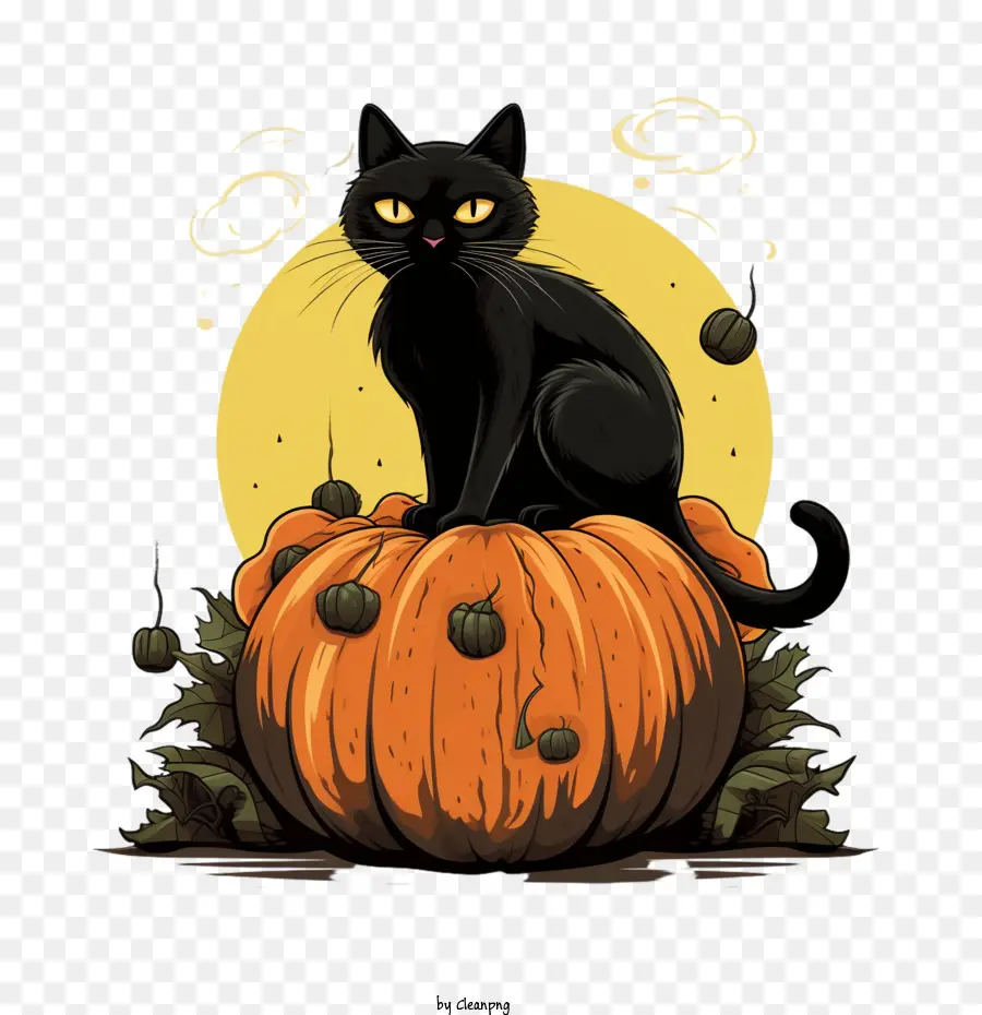 Dia Das Bruxas，Gato Preto PNG