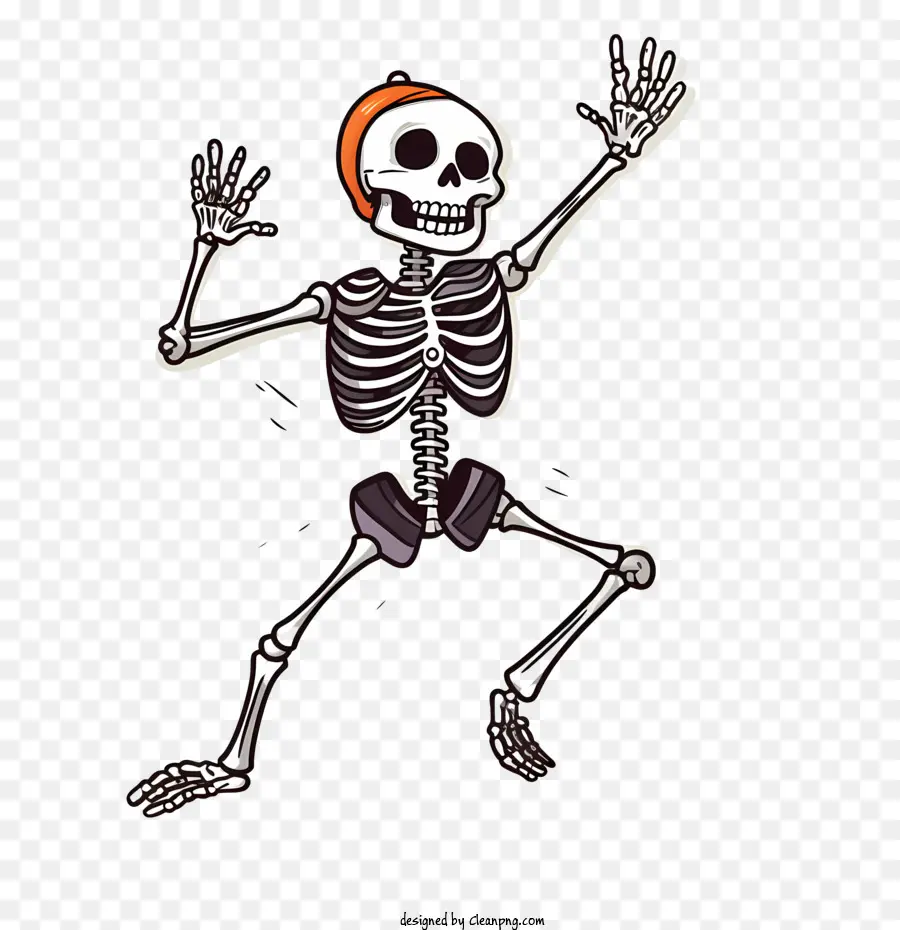 Halloween Esqueleto，Esqueleto PNG