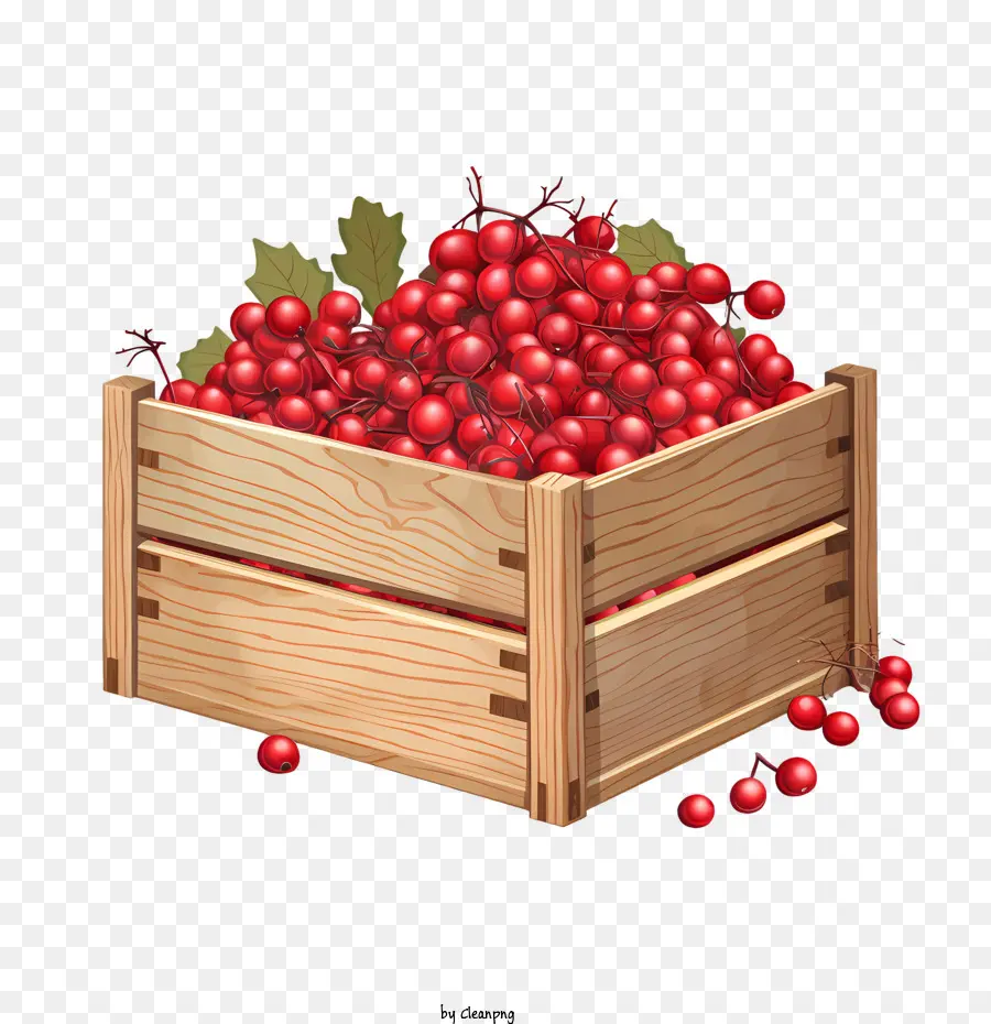 Cranberries Vermelhos，Framboesa Vermelha PNG