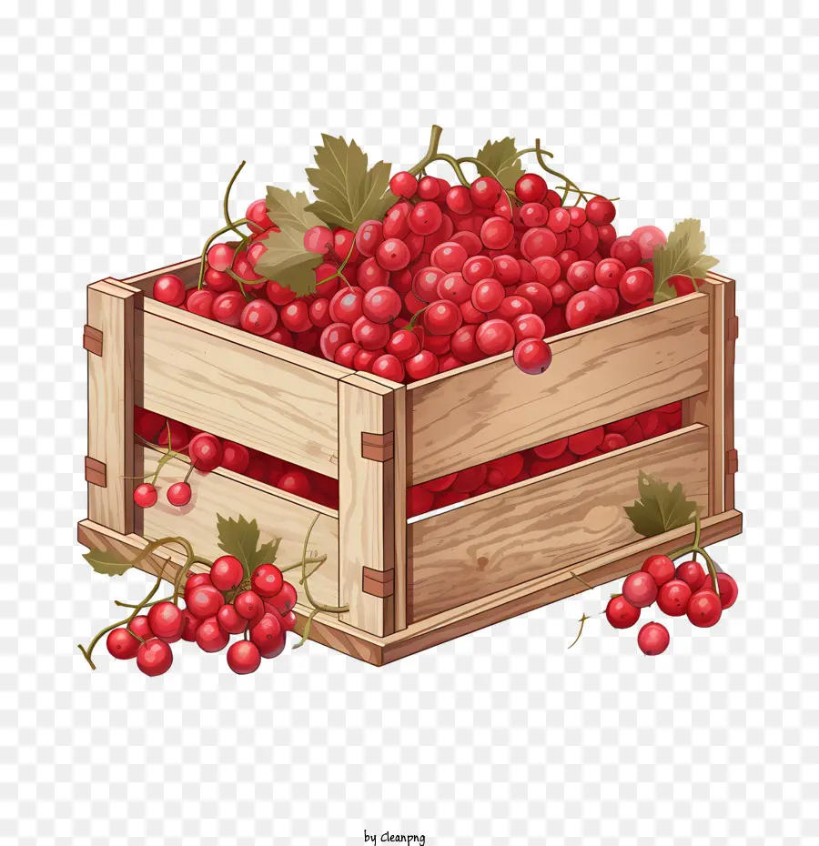 Cranberries Vermelhos，Vermelho PNG