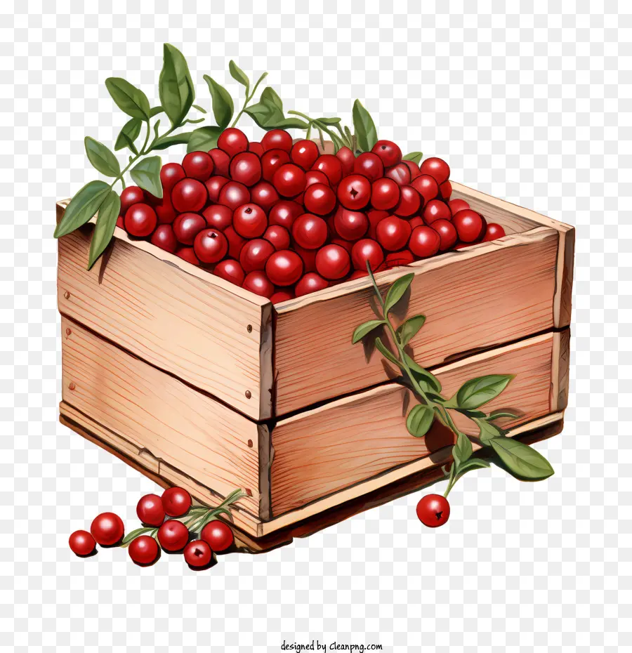 Cranberries Vermelhos，Cerejas PNG