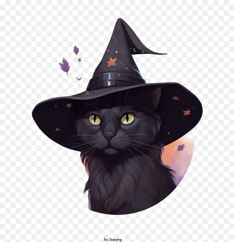 Dia Das Bruxas，Gato Preto PNG