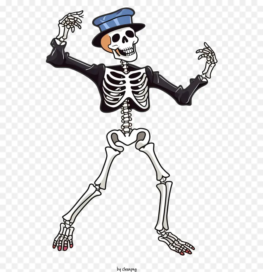Halloween Esqueleto，Esqueleto PNG
