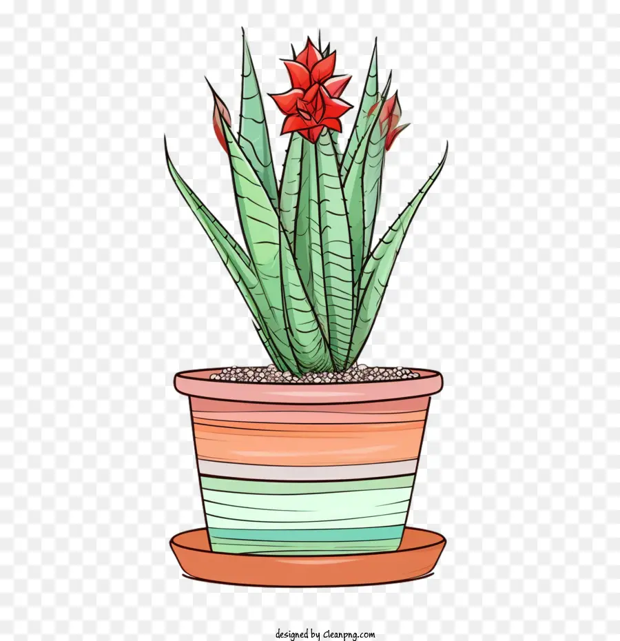 Aloe Vera，Flor Vermelha PNG