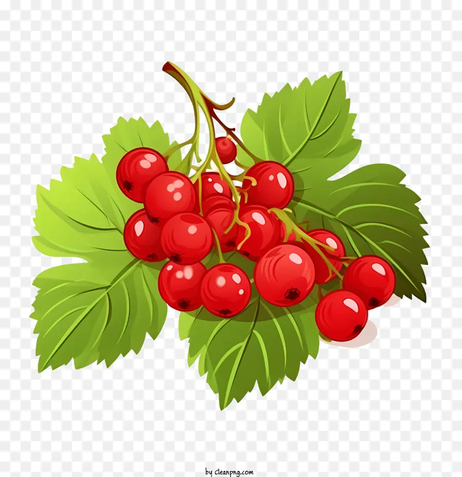 Cranberries Vermelhos，Framboesa PNG