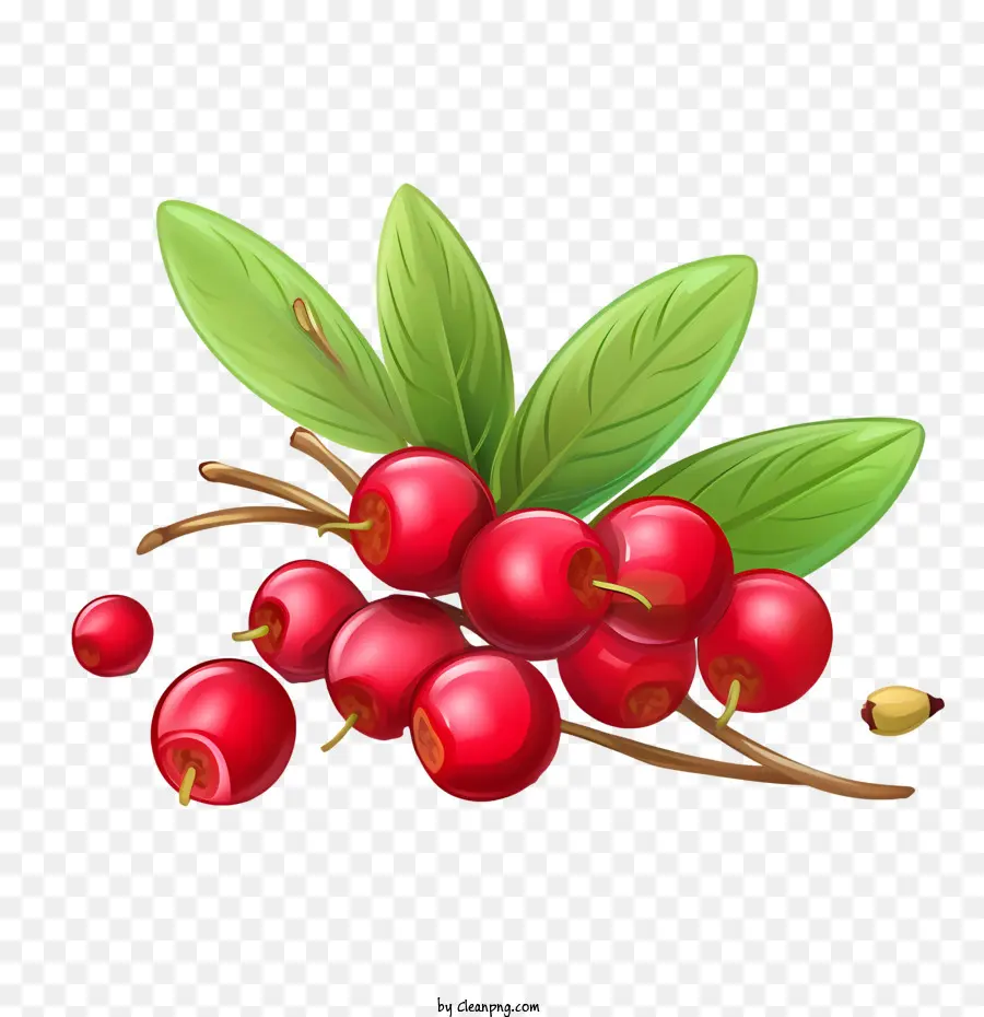 Cranberries Vermelhos，Cereja PNG