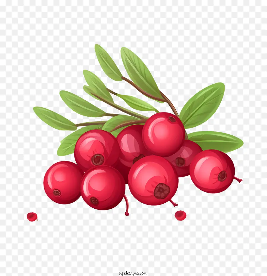 Cranberries Vermelhos，Apple PNG