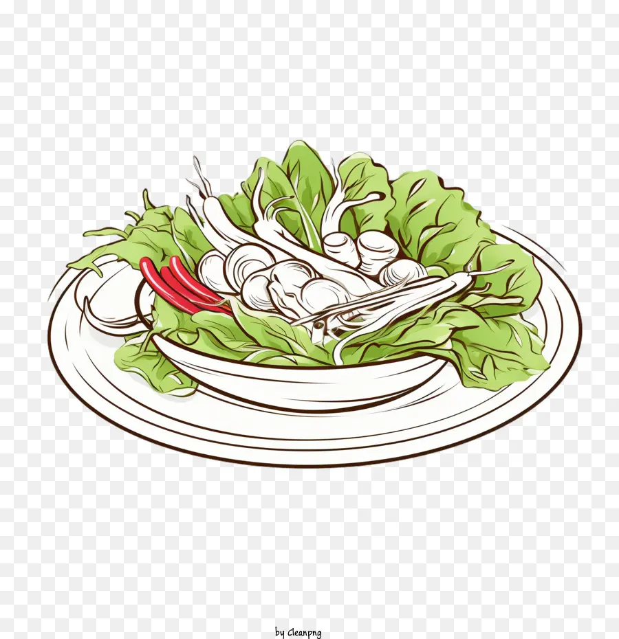 Salada De Esboço，Salada PNG