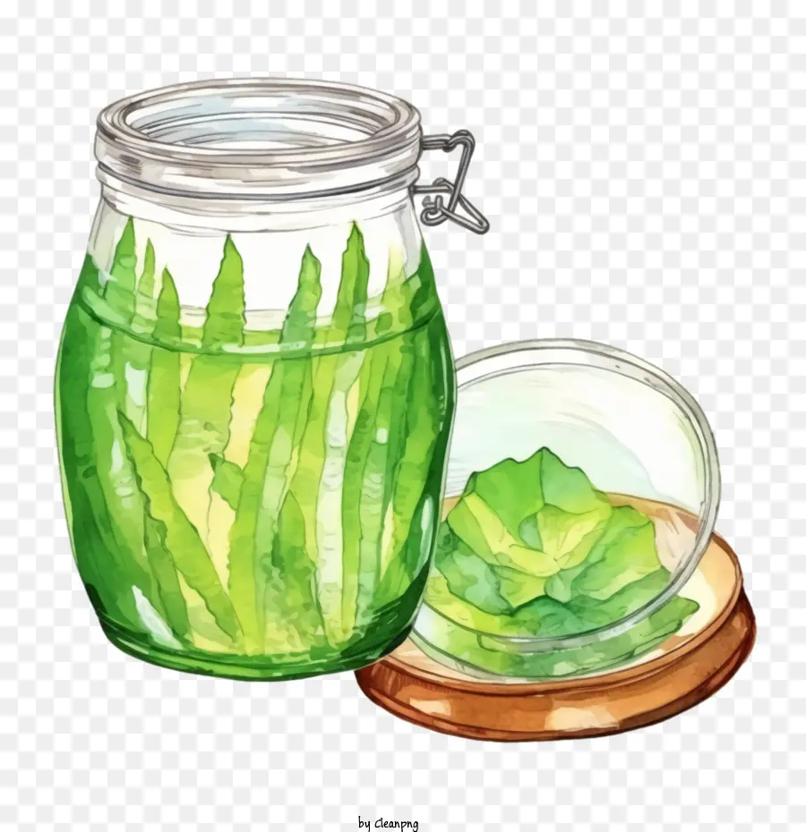 Aloe Vera，Limão PNG