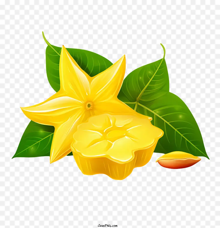 Carambola，Flor Amarela PNG