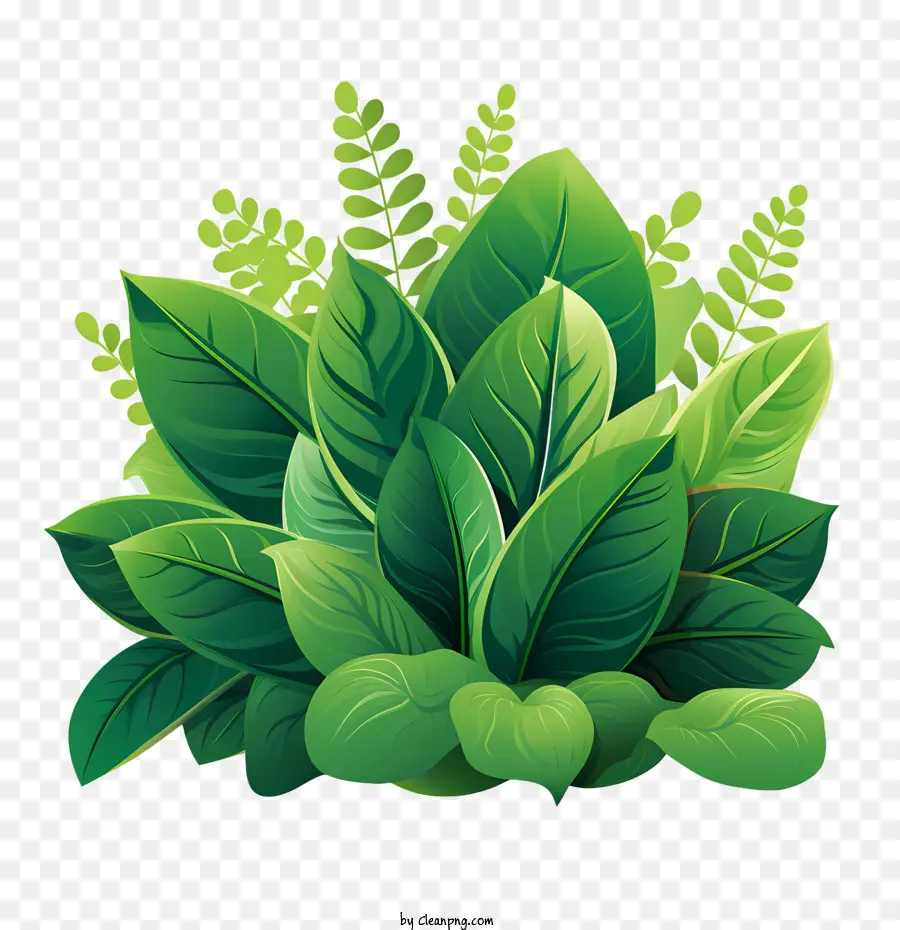 Planta Verde，Greenery PNG