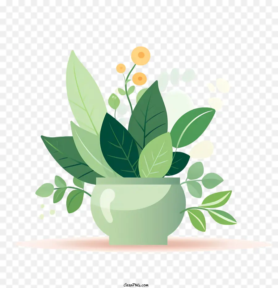 Vaso De Flores，Planta Em Vaso PNG