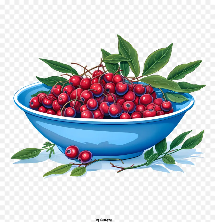 Tigela De Cranberries Vermelhos，Cranberries Vermelhos PNG