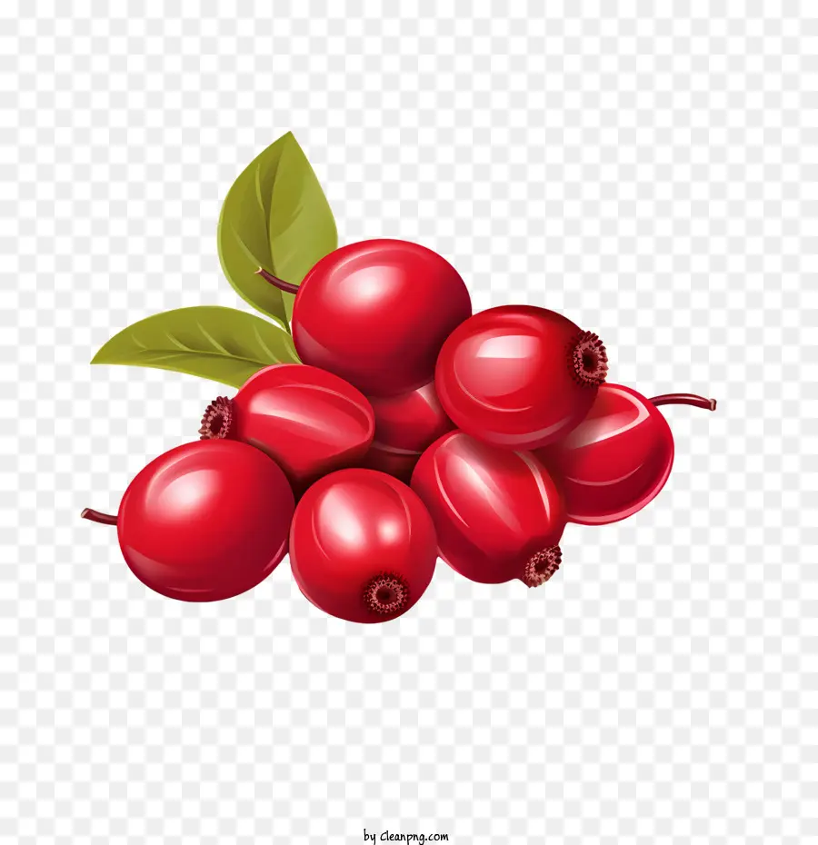 Cranberries，Frutos Vermelhos PNG