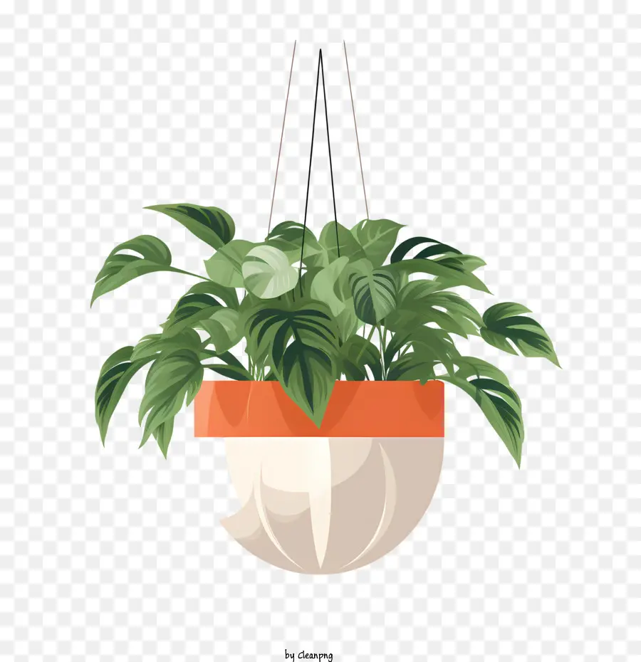 Planta Pendurada Com Maconha，Planta PNG