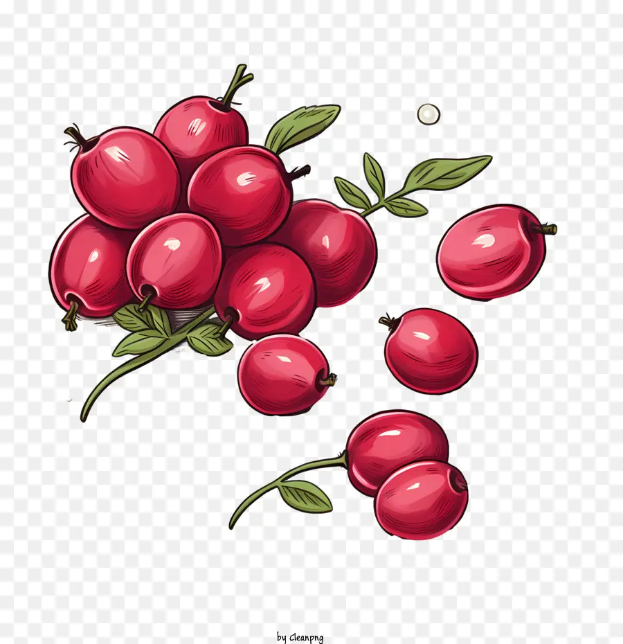 Cranberries，Bagas PNG