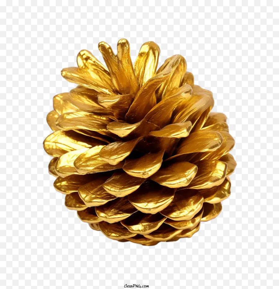 Pinecone，Ouro PNG