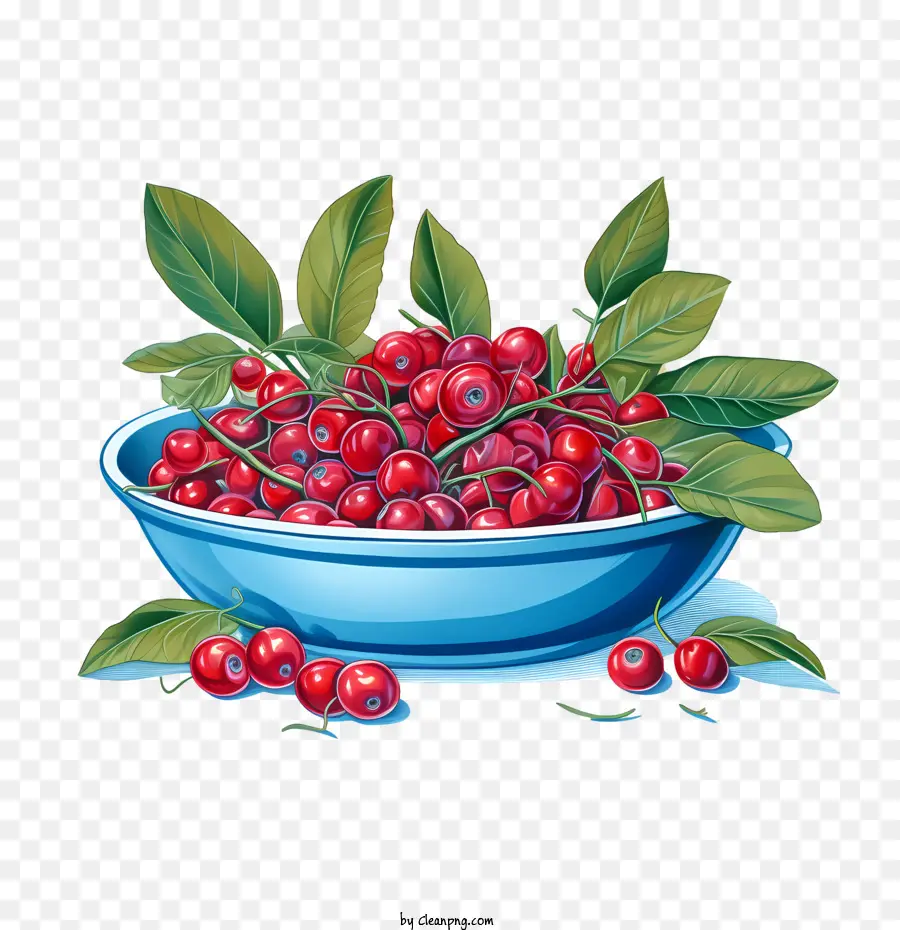 Tigela De Cranberries Vermelhos，Cranberries Vermelhos PNG