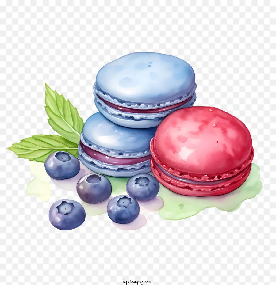 Macaroon Dia，Pastelaria PNG