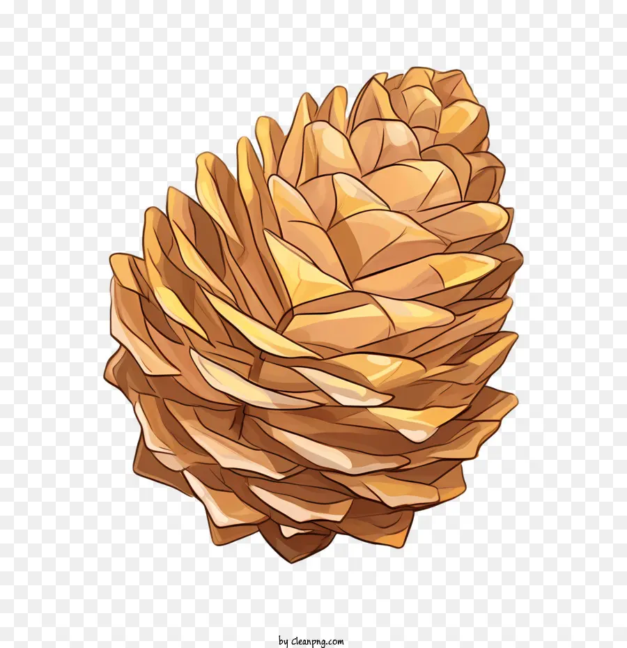 Pinecone，Pinha PNG