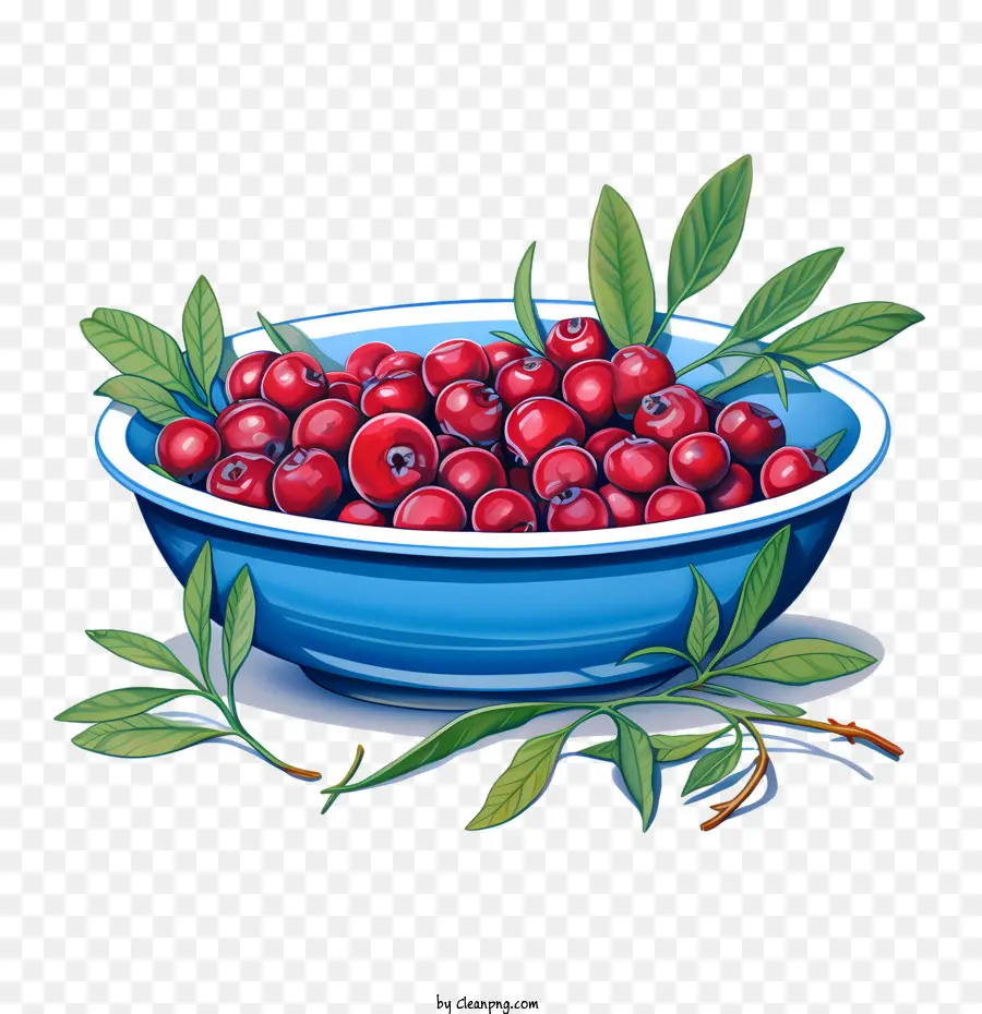 Tigela De Cranberries Vermelhos，Cranberries Vermelhos PNG